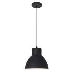 Rábalux DEREK 2578 Függőlámpa 1x60W/E27 IP20