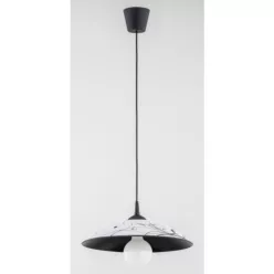 Alfa KAKTUS 60988 Függőlámpa 1x60W/E27 IP20