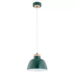 Alfa LORIEN 61318 Függőlámpa 1x15W/E27 IP20