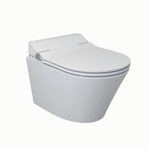 AREZZO design INDIANA Rimless wall-hung toilet + smart toilet roof AR-110FR (2 boxes)