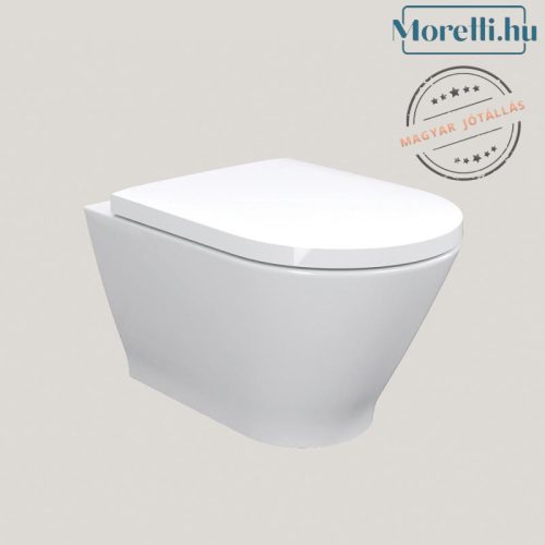 AREZZO design VERMONT wall-mounted rimless toilet