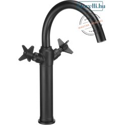   DEANTE-BQT-N25D TEMISTO Black Color Washbasin Faucet Double Lever Rotatable Spout