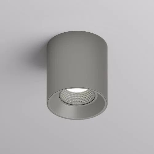 Rodvig series surface mounted ceiling downlight — DK/EU-3090-CT