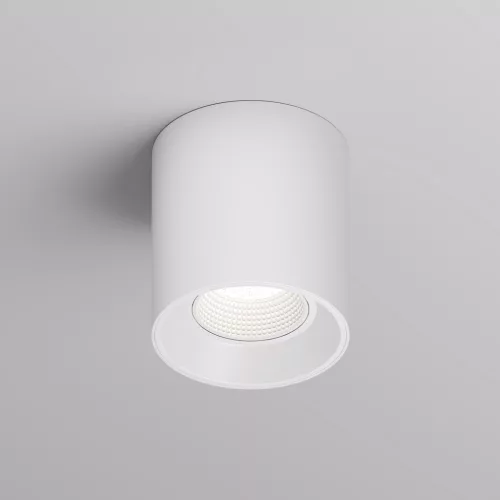 Rodvig series surface mounted ceiling downlight — DK/EU-3090-WH