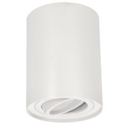   EDO-777101 Skand White spot lamp with tilting socket 1XGU10 35W IP20
