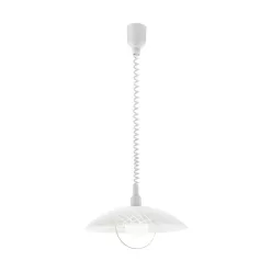 Eglo ALVEZ 96474 Függőlámpa 1x60W/E27
