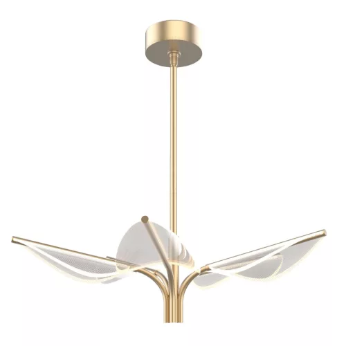 ELSTEAD QN-FLORIANA-PSNBR FLORIANA Modern Led Függesztett Lámpa Sárgaréz LED IP20