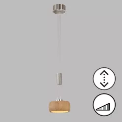   FISCHER & HONSEL 61075 SHINE-WOOD Modern Led Függesztett Lámpa Nikkel LED IP20