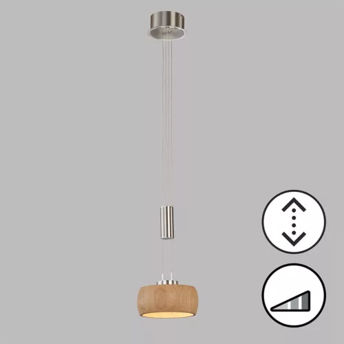 FISCHER & HONSEL 61075 SHINE-WOOD Modern Led Függesztett Lámpa Nikkel LED IP20
