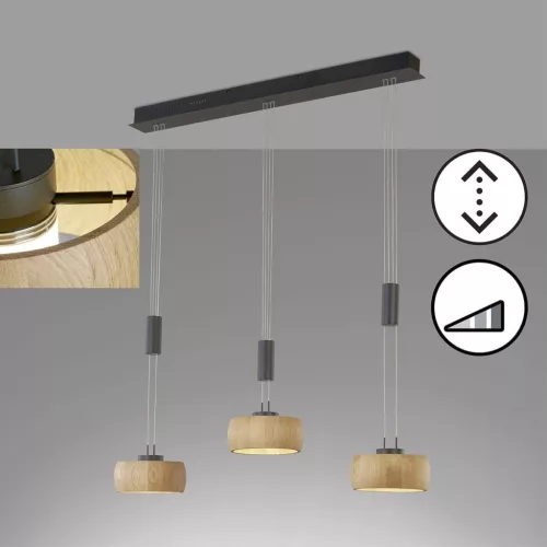 Fischer&Honsel SHINE-WOOD 61093 Lepel lámpa 3x9W/LED 2700K 2900 lm IP20
