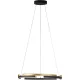 FISCHER & HONSEL 61123 CIRCLY Modern Led Függesztett Lámpa Fekete, Arany LED IP20
