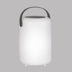   Fisher&Honsel Omo 850324 Asztali lámpa 2x0.5W/LED RGBW 40lm IP44