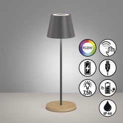   Fisher&Honsel Cosenza 850329 Asztali lámpa 2x2W/LED RGBW 270lm IP44