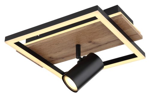 Ceiling Lamp Matt black KASSU GLOBO-67305D