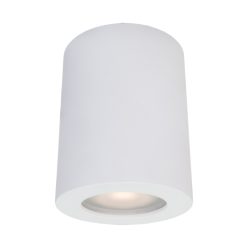 Outdoor Ceiling Lamp White Fausto ITALUX-IT8005R1-WH