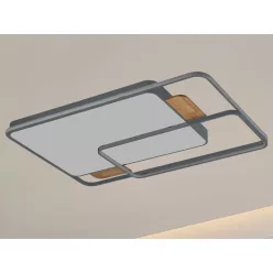 NEDES J1342-SW Modern LED Mennyezeti Lámpa IP20