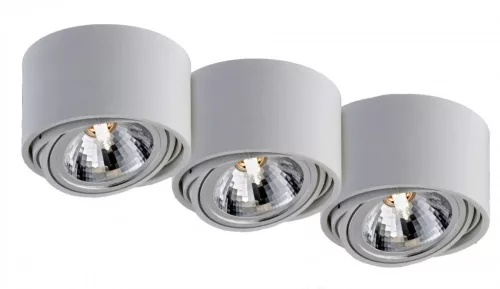 KASPA 70253301 LUMOS Hengeres Mennyezeti Lámpa Fehér G9 IP20