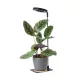 Növénynevelő lámpa LED VERDI V2 5W 1300K black Kobi