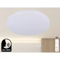 NEDES LC902SV Ufo Lámpa IP20