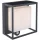 LUTEC 6934601118 CURTIS Modern Kültéri Fali Lámpa Antracit LED IP44