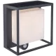 LUTEC 6934601118 CURTIS Modern Kültéri Fali Lámpa Antracit LED IP44
