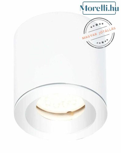 Bathroom Ceiling Lamp White FORM MAXLIGHT C0215