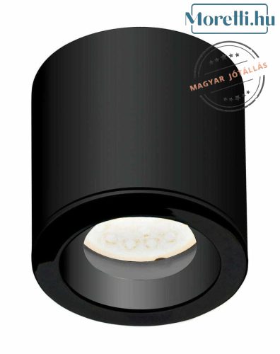 Ceiling Lamp Black FORM MAXLIGHT C0216