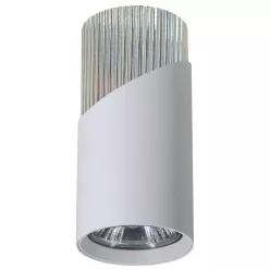   MILAGRO ML0285 NEO Hengeres Mennyezeti Lámpa Fehér, Króm GU10 IP20