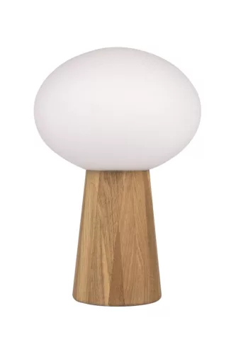 Markslojd PATER 108409 Asztali lámpa 1x60W/E27 IP20
