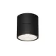 MAYTONI O310CL-L5GF3K SPIN Modern Kültéri Mennyezeti Lámpa LED IP54