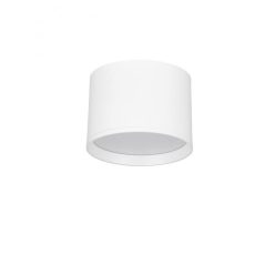 Ceiling lamp white NOVA LUCE 9030731