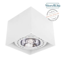 Ceiling Lamp White LARS PALNAS 61003313