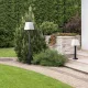 POLUX 312273 GIZA Modern Kültéri Állólámpa Fehér, Matt Fekete E27 IP44