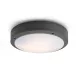 RENDL SONNY mennyezeti lámpa antracit 230V LED E27 2x15W IP54
