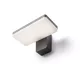 RENDL RINA fali lámpa antracitszürke 230V LED 12W IP65 3000K