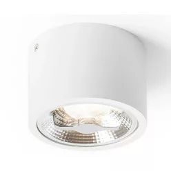 RENDL R12633 KELLY LED Hengeres Mennyezeti Lámpa 8 IP20
