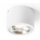 RENDL R12633 KELLY LED Hengeres Mennyezeti Lámpa 8 IP20