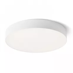   RENDL LARISA R 40 DIMM mennyezeti lámpa fehér 230V LED 50W 3000K 4000K 6500K