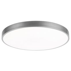 Ceiling Lamp Silver TESIA RABALUX-3315