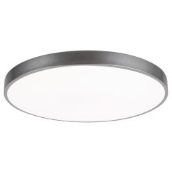 Ceiling Lamp Silver TESIA RABALUX-3317