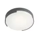 REDO 90005 SKOR Modern Kültéri Mennyezeti Lámpa LED IP54