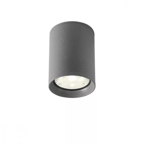 REDO 90339 XILO Modern Kültéri Mennyezeti Lámpa LED IP54