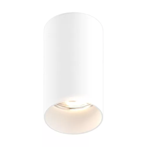 Zuma Line TUBA 92679-N Felületi spotlámpa 1x50W/GU10 IP20