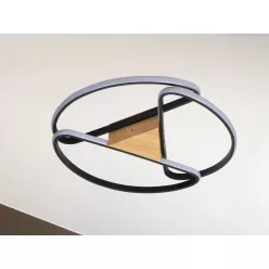 NEDES TA1311-BW Modern LED Mennyezeti Lámpa IP20
