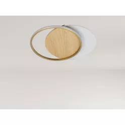 NEDES TB1303-GW Modern LED Mennyezeti Lámpa IP20