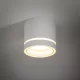 TK LIGHTING 4334 JET Hengeres Mennyezeti Lámpa Fehér GX53 IP20