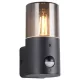 TRIO 222260132 HOOSIC Fali Lámpa Mozgásérzékelővel Fekete E27 IP44