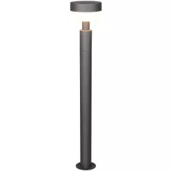   TRIO 430561142 MACKENZIE Modern Kültéri Állólámpa Antracit LED IP44