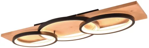 TRIO 641110332 BARCA Modern LED Mennyezeti Lámpa Fekete LED IP20