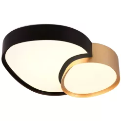   TRIO 647510280 RISE Modern Mennyezeti Lámpa Fekete, Arany LED IP20
